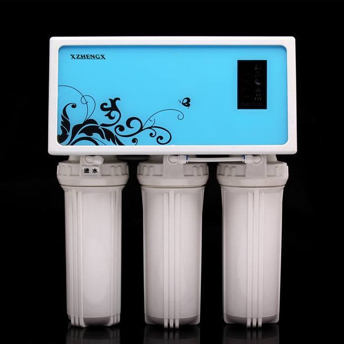 Direct drinking water purifier
